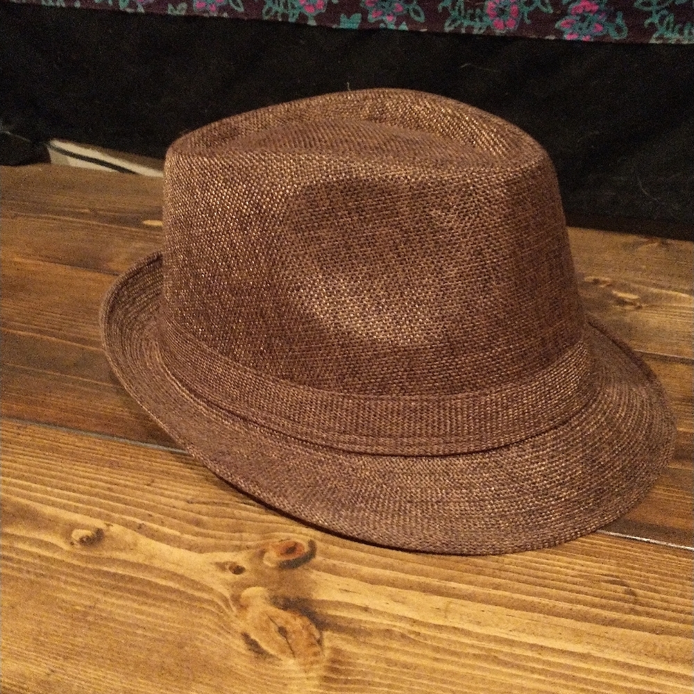 Brown fedora
